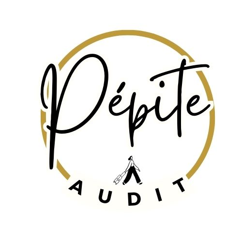 Pépite Audit